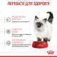 Сухий корм для кошенят Royal Canin Kitten 2 кг Royal Canin – купити зі знижкою %