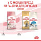 Сухий корм для кошенят Royal Canin Kitten 2 кг Royal Canin – купити зі знижкою %