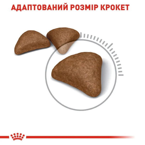 Сухий корм для котів Royal Canin Hairball Care 2 кг Royal Canin – купити зі знижкою %