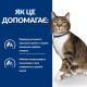 Сухой корм для кошек Hill's Prescription Diet Urinary Care s/d 3 кг - курица Hills – купить со скидкой