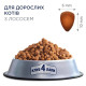 Сухий корм для котів Club 4 Paws Premium 2 кг - лосось Club 4 Paws – купити зі знижкою %