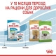 Сухий корм для цуценят Royal Canin X-Small Puppy 1,5 кг Royal Canin – купити зі знижкою %