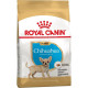 Сухий корм для цуценят Royal Canin Puppy Chihuahua 1,5 кг Royal Canin – купити зі знижкою %