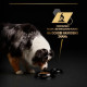 Вологий корм Purina Pro Plan Adult для дорослих собак, желе з рибою 400 г Pro Plan – купити зі знижкою %