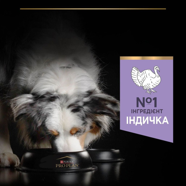 Сухой корм Purina ProPlan Medium & Large Adult Sensetive для взрослых собак с чувствительным пищеварением с индейкой 12 кг Pro Plan – купить со скидкой
