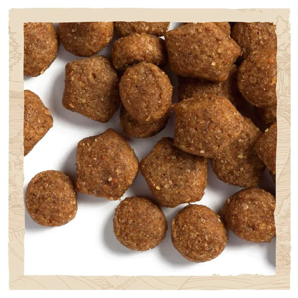 Сухий корм для цуценят всіх порід Dog Chow Puppy Lamb 14 кг (ягня) Dog Chow – купити зі знижкою %