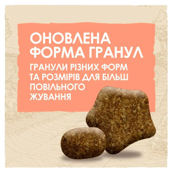 Сухий корм для активних собак всіх порід Dog Chow Active Chicken 14 кг (курка) Dog Chow – купити зі знижкою %