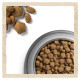 Сухий корм для активних собак всіх порід Dog Chow Active Chicken 14 кг (курка) Dog Chow – купити зі знижкою %