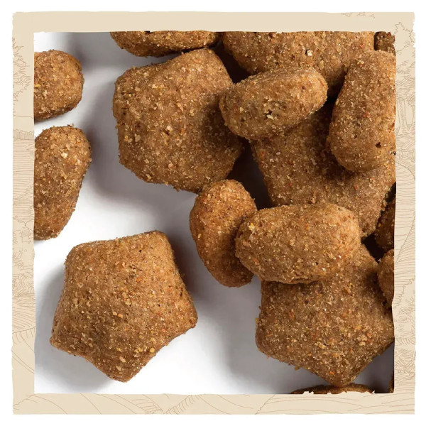 Сухий корм для активних собак всіх порід Dog Chow Active Chicken 14 кг (курка) Dog Chow – купити зі знижкою %