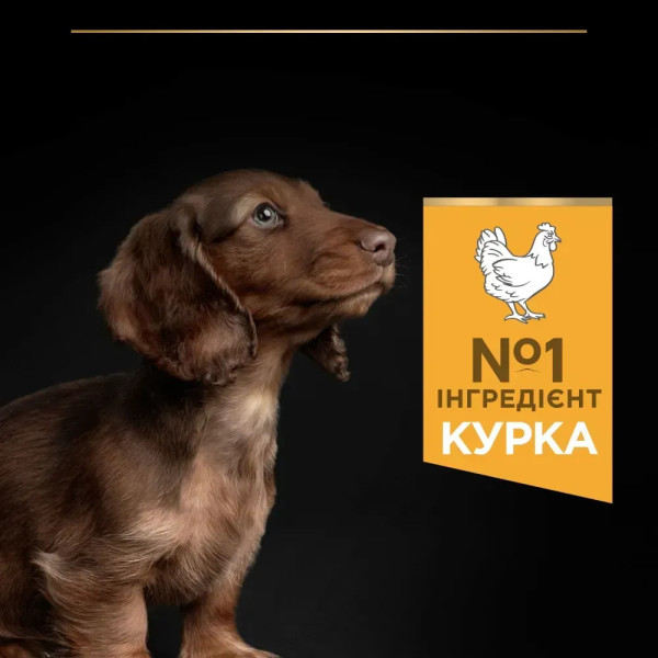 Сухой корм для щенков и молодых собак Pro Plan Puppy Small & Mini 3 кг - курица Pro Plan – купить со скидкой