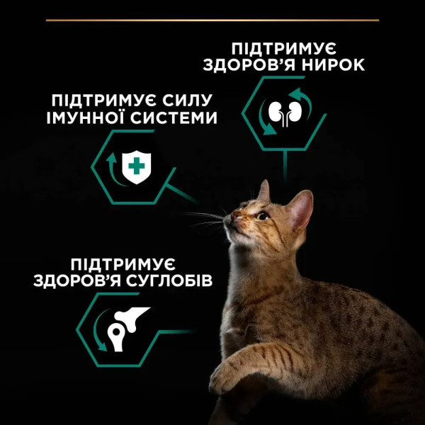 Сухой корм для кошек Pro Plan Original Adult 14 кг - курица Pro Plan – купить со скидкой