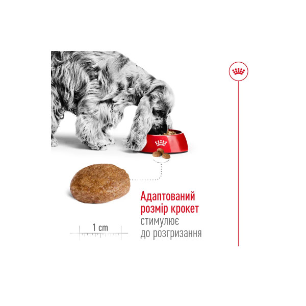 Сухий корм для собак Royal Canin Medium Adult 7+ 4 кг Royal Canin – купити зі знижкою %
