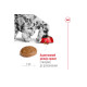 Сухий корм для собак Royal Canin Medium Adult 7+ 4 кг Royal Canin – купити зі знижкою %