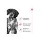 Сухий корм для собак Royal Canin Medium Adult 7+ 4 кг Royal Canin – купити зі знижкою %