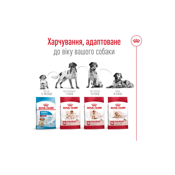 Сухий корм для собак Royal Canin Medium Adult 7+ 4 кг Royal Canin – купити зі знижкою %