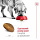 Сухий корм для собак Royal Canin Maxi Adult 5+ 15 кг Royal Canin – купити зі знижкою %