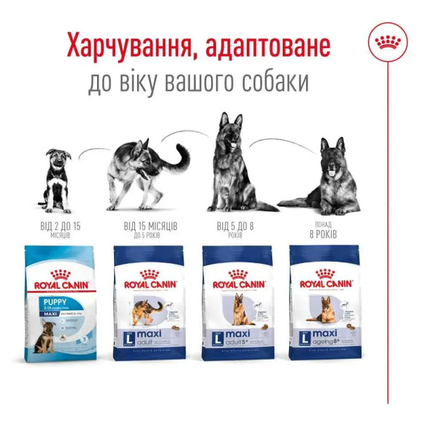 Сухий корм для собак Royal Canin Maxi Adult 5+ 15 кг Royal Canin – купити зі знижкою %