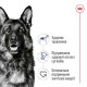 Сухий корм для собак Royal Canin Maxi Adult 5+ 15 кг Royal Canin – купити зі знижкою %