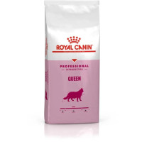 Сухой корм для беременных кошек Royal Canin Queen 4 кг
