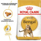 Сухий корм для котів бенгальскої породи Royal Canin Bengal Adult 2 кг Royal Canin – купити зі знижкою %