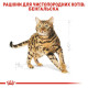 Сухий корм для котів бенгальскої породи Royal Canin Bengal Adult 2 кг Royal Canin – купити зі знижкою %