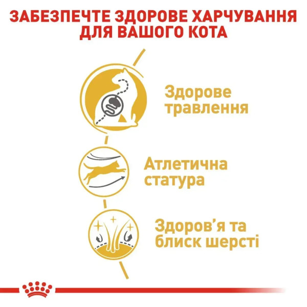 Сухий корм для котів бенгальскої породи Royal Canin Bengal Adult 2 кг Royal Canin – купити зі знижкою %