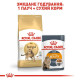 Сухий корм для котів бенгальскої породи Royal Canin Bengal Adult 2 кг Royal Canin – купити зі знижкою %