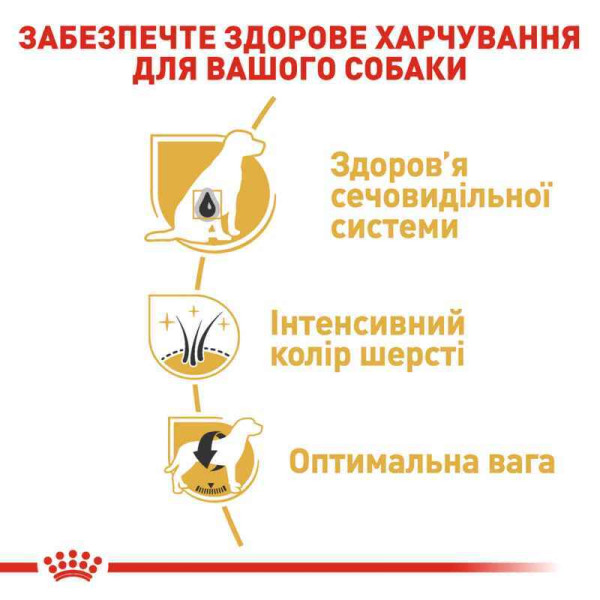 Сухий корм для собак Royal Canin Schnauzer Adult 7,5 кг Royal Canin – купити зі знижкою %