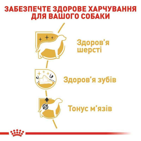 Сухий корм для собак Royal Canin Poodle Adult 1.5 кг Royal Canin – купити зі знижкою %