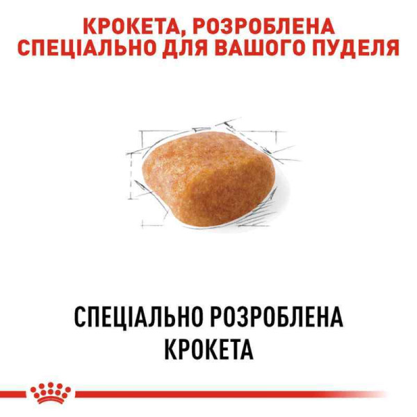 Сухий корм для собак Royal Canin Poodle Adult 1.5 кг Royal Canin – купити зі знижкою %