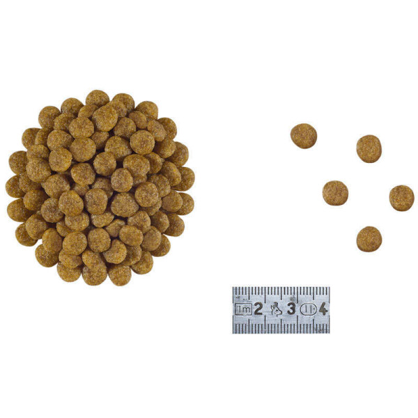 Сухий корм для собак Royal Canin Gastrointestinal Low Fat Small Dog 1,5 кг Royal Canin – купити зі знижкою %
