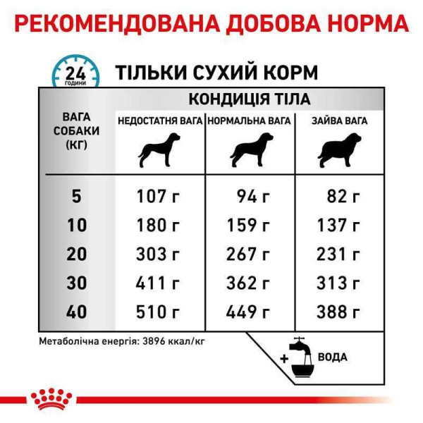 Сухий корм для собак Royal Canin Skin Care 2 кг Royal Canin – купити зі знижкою %
