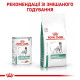 Вологий корм для собак Royal Canin Diabetic 410 г (1 уп 12 шт) Royal Canin – купити зі знижкою %