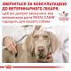 Вологий корм для собак Royal Canin Diabetic 410 г (1 уп 12 шт) Royal Canin – купити зі знижкою %