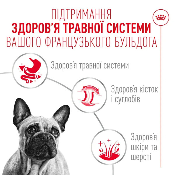 Вологий корм для собак Royal Canin French Bulldog Adult 85 г (1 упаковка 12 шт) Royal Canin – купити зі знижкою %