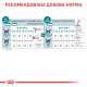 Сухий корм для котів Royal Canin Ageing 11+, 2 кг Royal Canin – купити зі знижкою %