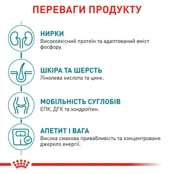 Сухий корм для котів Royal Canin Ageing 11+, 2 кг Royal Canin – купити зі знижкою %