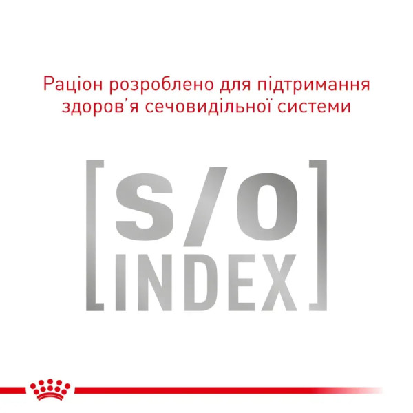 Сухий корм для котів Royal Canin Skin & Coat 1,5 кг Royal Canin – купити зі знижкою %