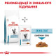 Сухий корм для котів Royal Canin Skin & Coat 1,5 кг Royal Canin – купити зі знижкою %