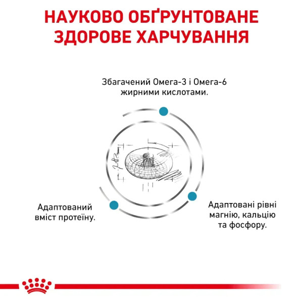 Сухий корм для котів Royal Canin Skin & Coat 1,5 кг Royal Canin – купити зі знижкою %