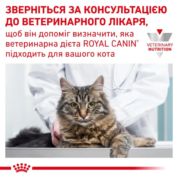 Сухий корм для котів Royal Canin Skin & Coat 1,5 кг Royal Canin – купити зі знижкою %