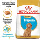 Сухий корм для цуценят Royal Canin Poodle Puppy 500 г Royal Canin – купити зі знижкою %