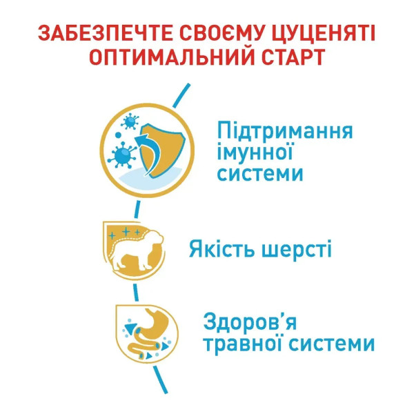 Сухий корм для цуценят Royal Canin Poodle Puppy 500 г Royal Canin – купити зі знижкою %