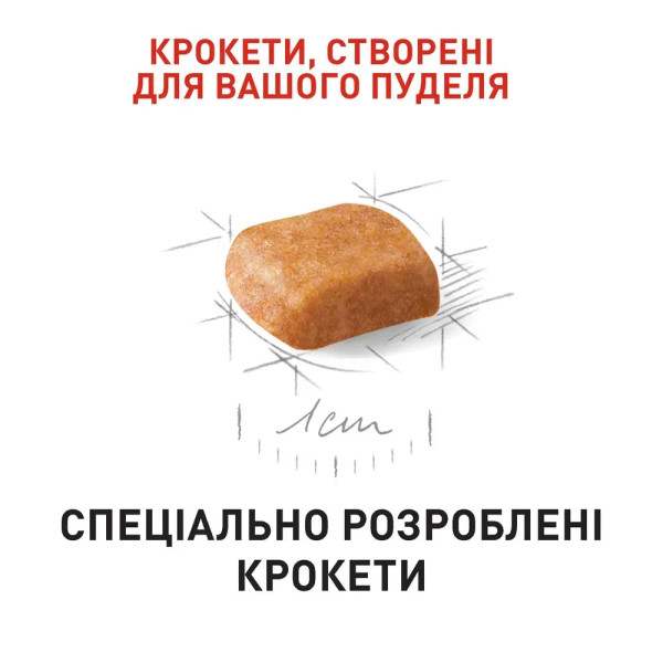 Сухий корм для цуценят Royal Canin Poodle Puppy 500 г Royal Canin – купити зі знижкою %