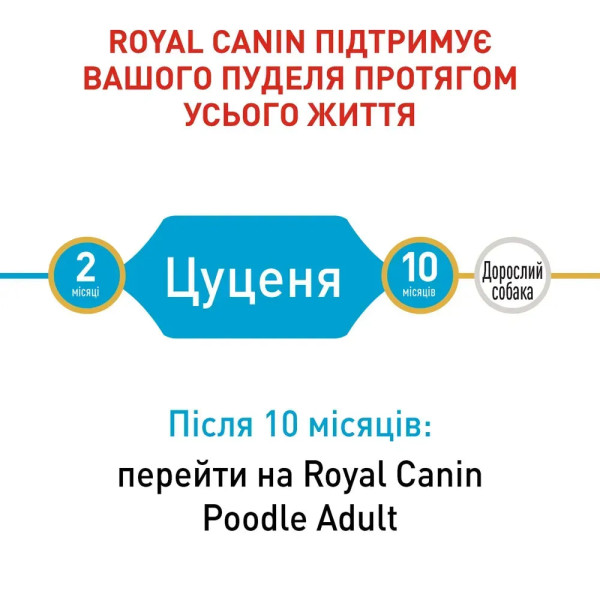 Сухий корм для цуценят Royal Canin Poodle Puppy 500 г Royal Canin – купити зі знижкою %