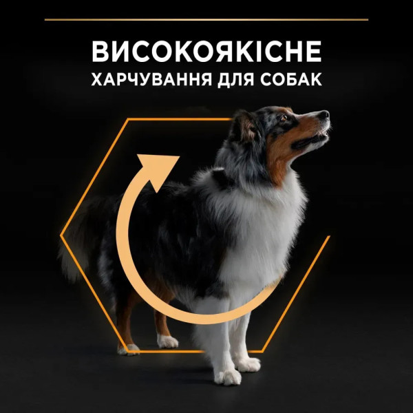 Сухой корм для взрослых собак средних пород Pro Plan Adult Medium 14 кг (курица) Pro Plan – купить со скидкой