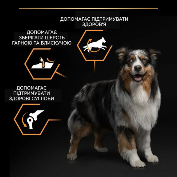 Сухой корм для взрослых собак средних пород Pro Plan Adult Medium 14 кг (курица) Pro Plan – купить со скидкой